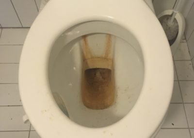 WC avant